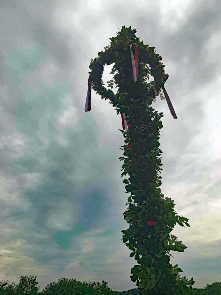 Majstang ved midsommerfesten i Børglumparken 2019