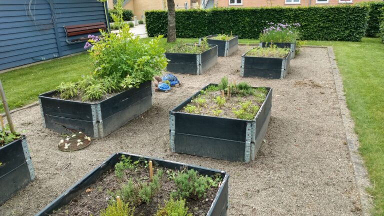 Urtebede i mellemste gård med krydderurter til fri benyttelse