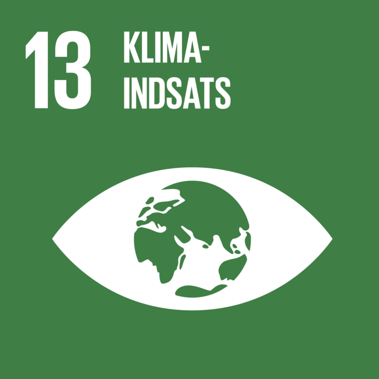 FN's verdensmål nr. 13 om at handle hurtigt for at bekæmpe klimaforandringer og deres konsekvenser