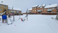 2023-12-03 Vinter i Børglumparken